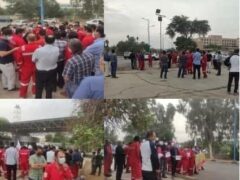 photo_2021-11-18_00-26-21-240x180